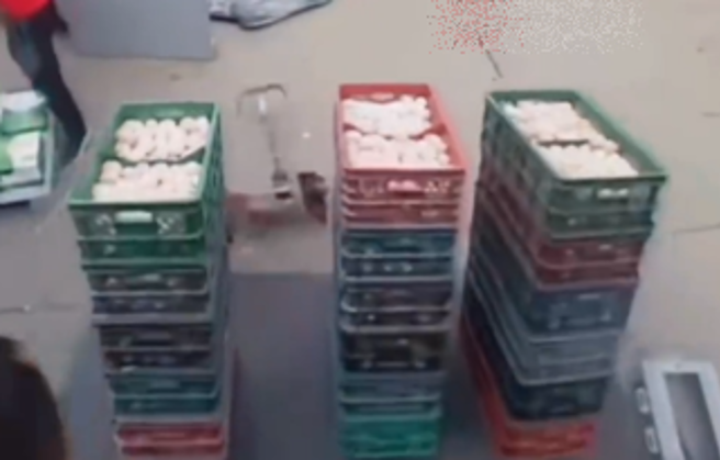 大陸山東有位新進員工上班第一天就失手，卸貨時因按錯鈕，導致18筐雞蛋摔爛。（圖／翻攝自微博）