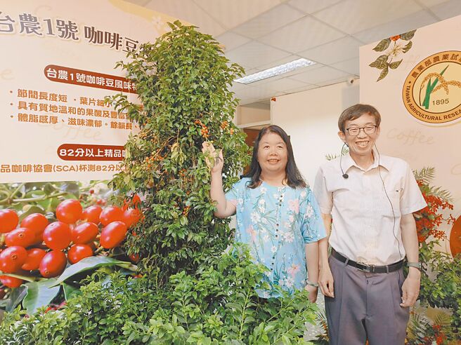 嘉义农试分所园艺系副研究员张淑芬（左）11日发表首支本土育成咖啡品种「台农咖啡1号」，代理分所长张哲玮（右）大力推荐。（廖素慧摄）