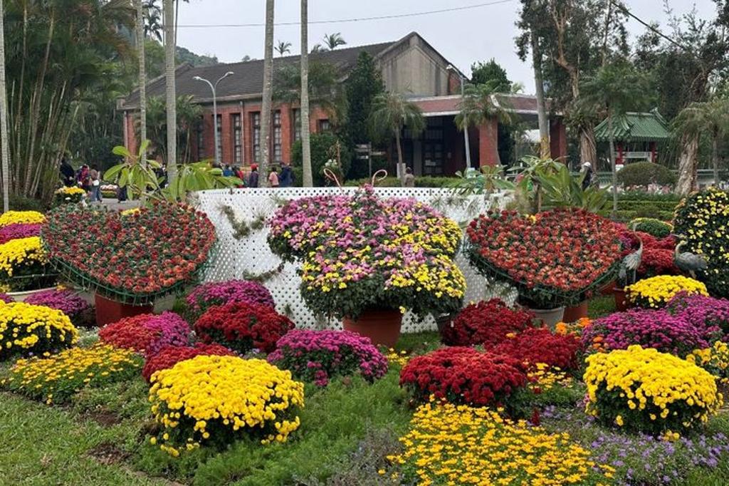 各色繽紛的菊花(圖為資料照)。 圖:臺北市政府工務局公園路燈工程管理處/提供