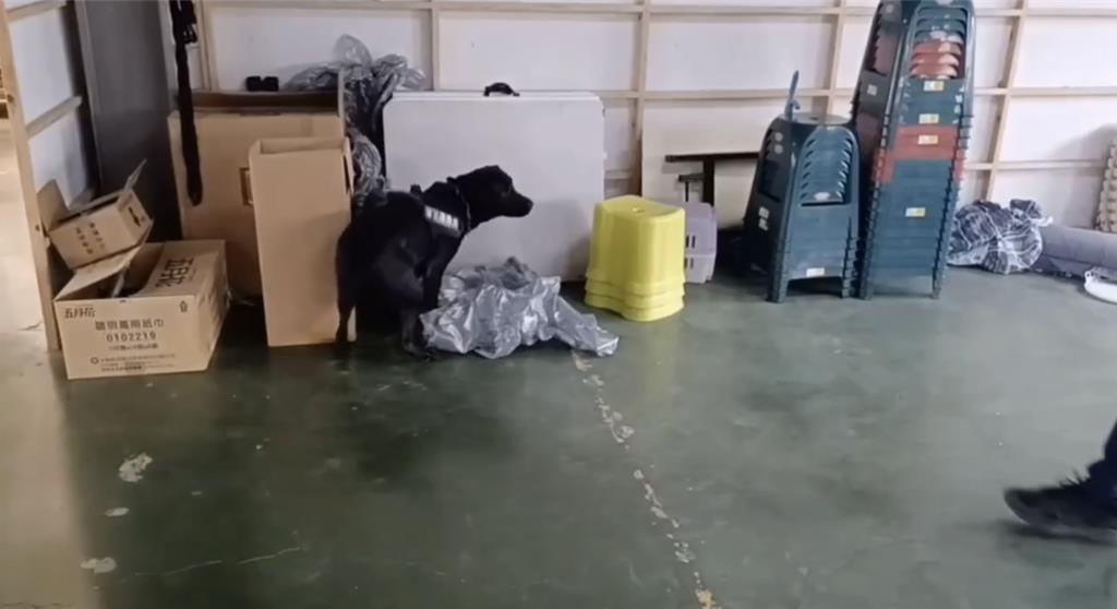 少年隊直搗毒品集散地 緝毒犬「坐下來」揪出漏網K毒