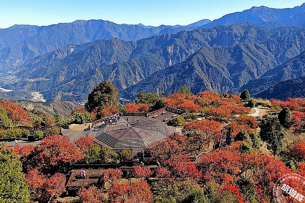 「阿里山」限定遊 攝影達人帶路,賞秋季夢幻楓景、磅礡雲海!圖為小笠原山平台零死角楓紅景色(圖/阿里山賓館提供)