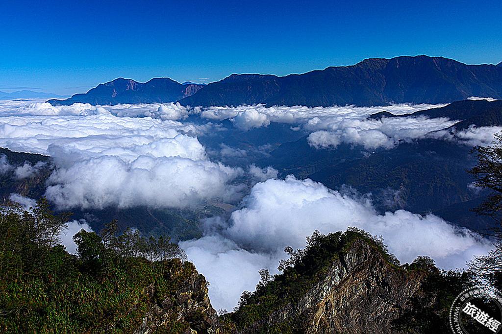 阿里山雲海(圖/阿里山賓館提供)