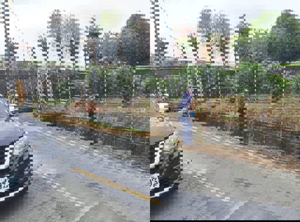 警方將男子救起，但已無生命跡象。（蕭宥彤翻攝）