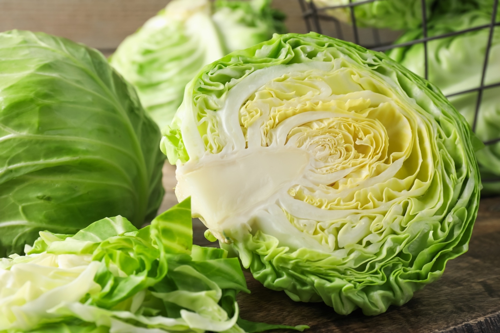 高麗菜壞掉靠3招分辨 日廚師示警:初期腐壞很多人忽略
