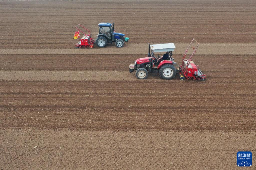 做到「中國糧」用「中國種」種業基地供種保障率達8成