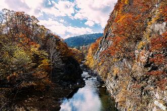 日本秋天的萬種「楓」情 推薦「日本五大賞楓勝地」