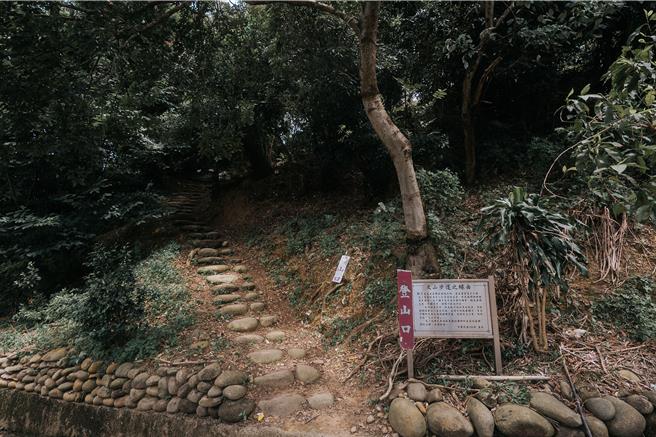 新竹县政府「2025森游竹县皮皮狮探险队」登山健行活动于10月底圆满落幕，为期4个月的挑战掀起全民登山热潮，吸引近1.9万人次参与。（新竹县政府提供／王惠慧新竹传真）