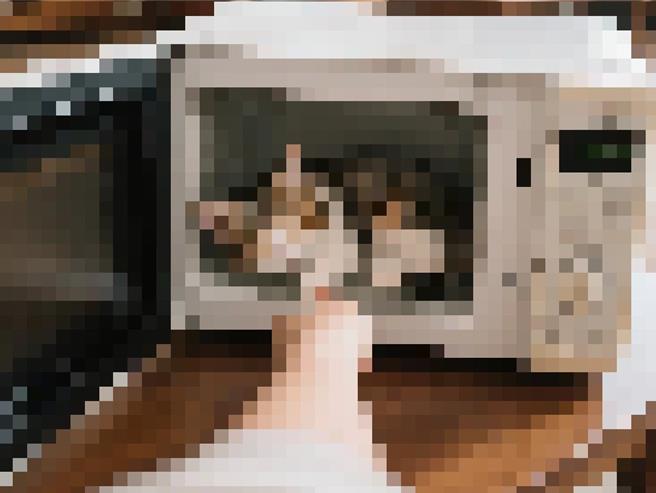 高雄卓姓男子在网路社群自曝「用微波炉虐猫」引发眾怒。（白乔茵提供）