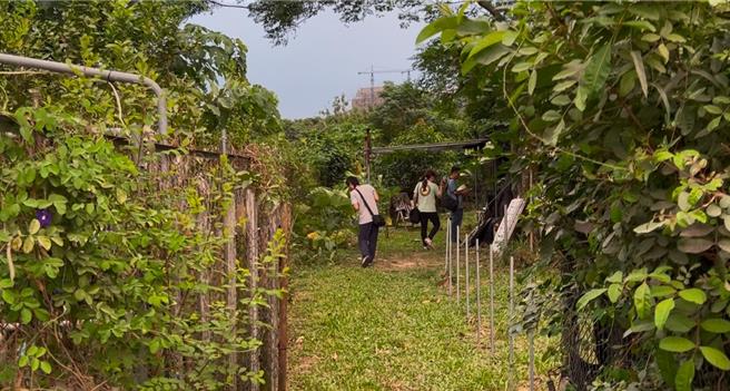 专案小组至蔡嫌租下农地搜索。（翻摄照片／洪靖宜高雄传真）