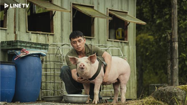 《豬人》 鄭人碩稱讚豬演員很敬業。（LINE TV提供）