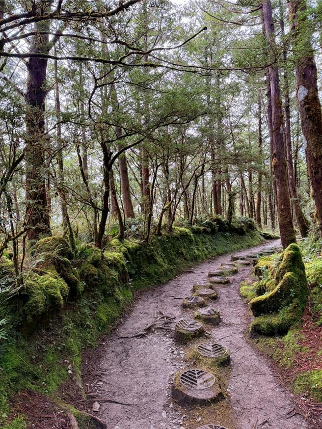 熱門的「見晴懷古步道」暫時只開放到750公尺處。（吳佩蓉攝）