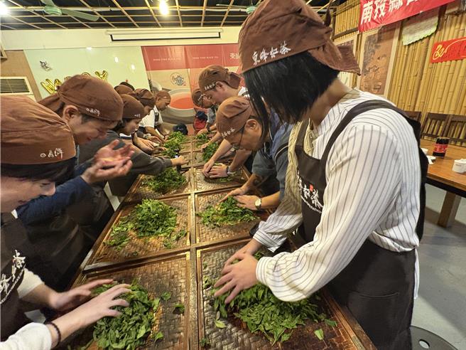 因应日本旅客追求有深度的永续旅游体验，特别安排踩线团亲手制作日月潭红茶。（南投县政府提供／杨静茹南投传真）