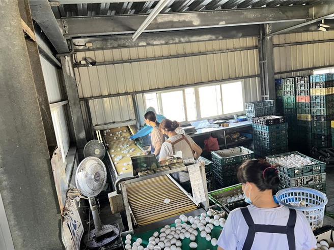 彰化县文雅畜牧场鸡蛋抽验出芬普尼残留。（图／彰化县政府）