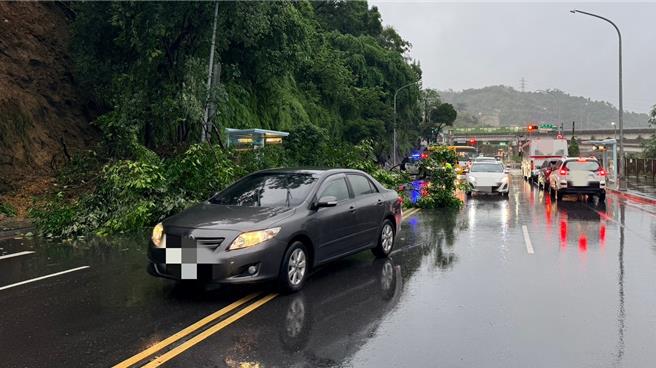 汐止康寧街边坡土石滑落，造成路树倾倒。（民眾提供）