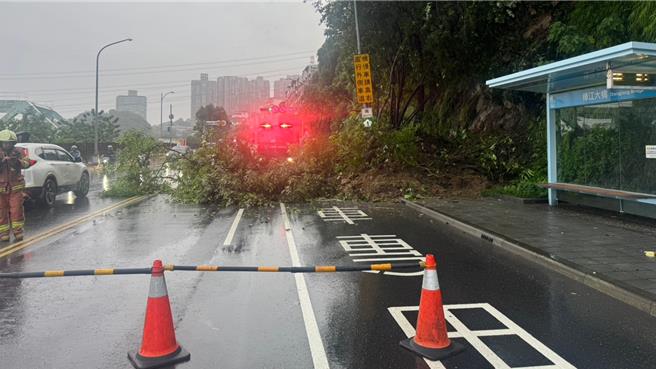 汐止康寧街边坡土石滑落，造成路树倾倒。（民眾提供）