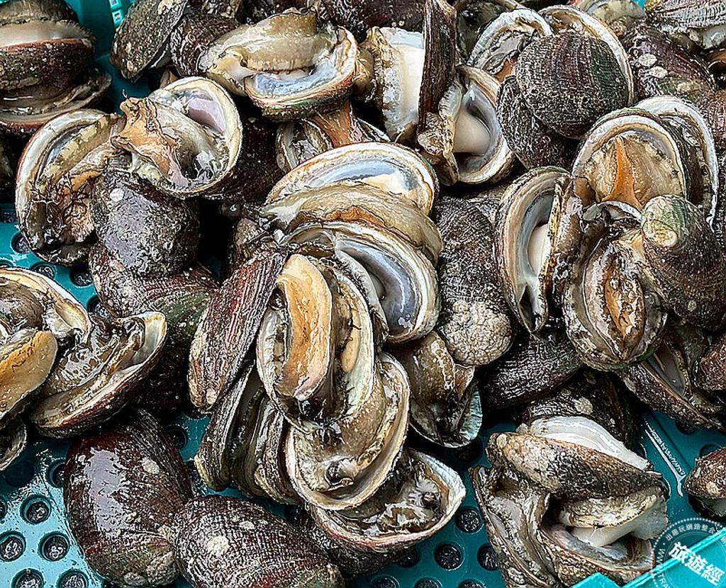 貢寮鮑養殖故事「鮑」你知。（圖／新北市農業局）