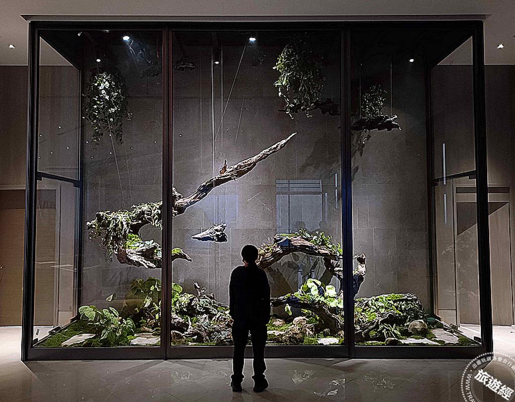 雲品溫泉酒店設置巨型生態缸、推動綠廊散策導覽,讓更多旅人重視生物多樣性。(圖/雲品國際)