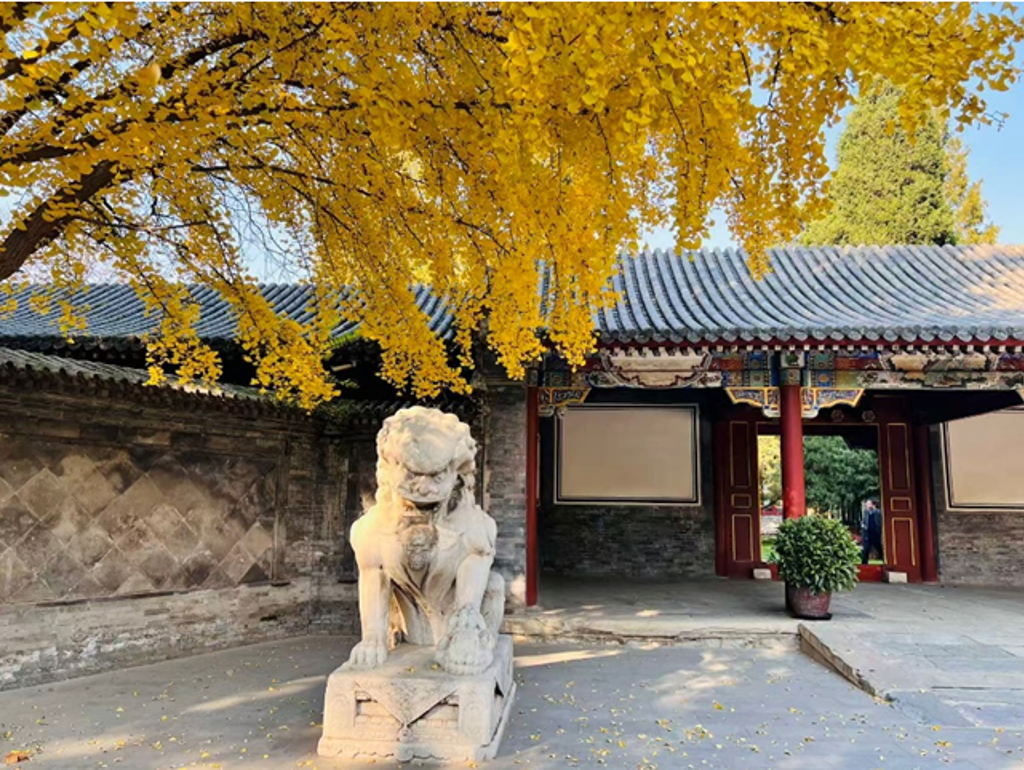 台灣人看大陸》北京秋意正繽紛 香山賞楓入畫中