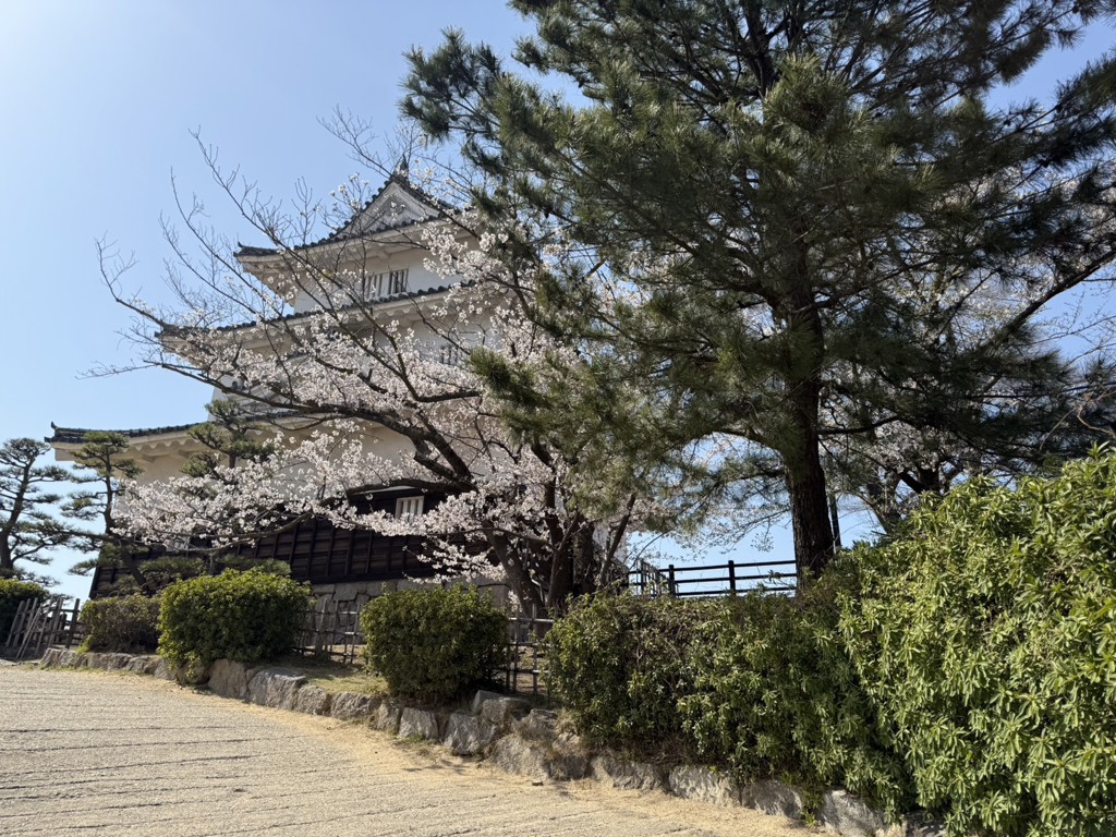 日本旅館品質降級?日網紅稱台灣旅遊大勝利 兩派人戰翻