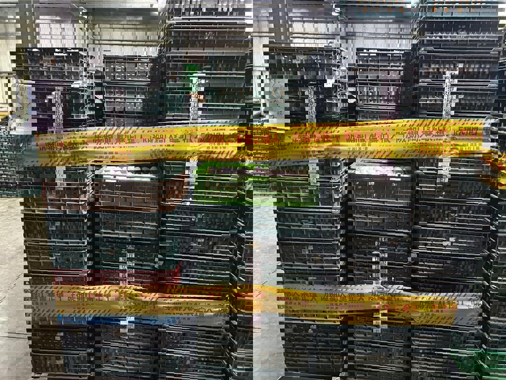 列管芬普尼蛋流入台中 彰化縣全面封存、啟動銷毀程序