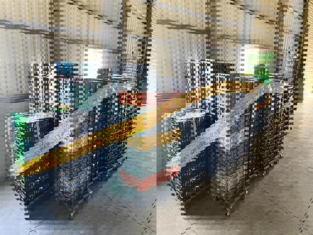 不能把芬普尼蛋視為個案 專家喊話農業部：出面管源頭