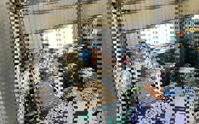 彰化縣文雅畜牧場雞蛋，日前驗出芬普尼殘留。（彰化縣政府提供）