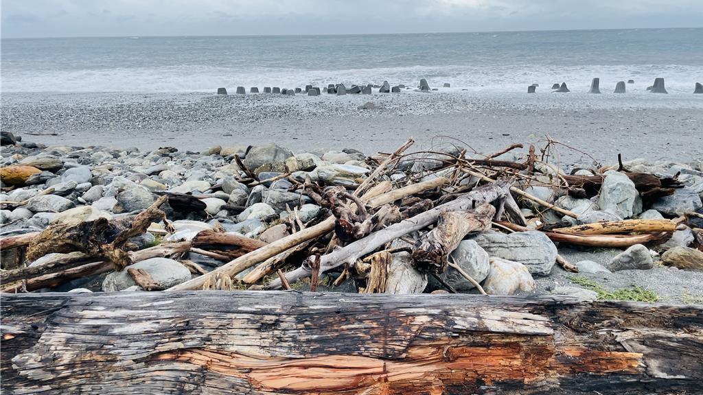 台東國際地標漂流木堆成「阿塱壹古道」 美學VS整潔引爭論