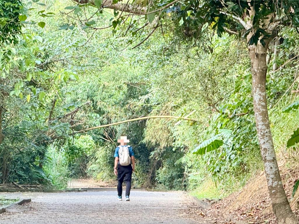 大崗山登山步道將增設公廁！建小公園補足公共設施