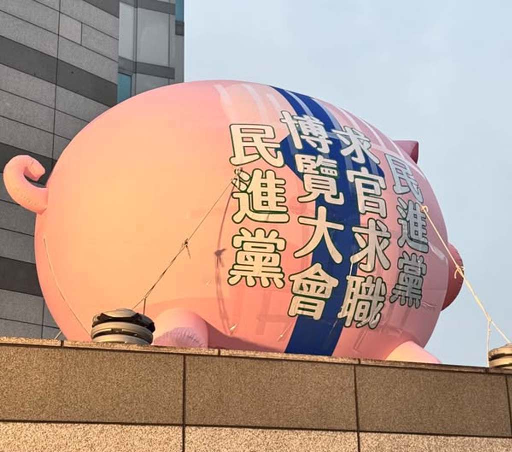 女青鳥曾「生氣被稱側翼」 今成綠營新貴遭酸:求職成功