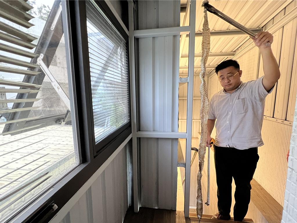 宜蘭辦公室驚現「160公分濕潤蛇皮」！員工嚇到腿軟：可能還在裡面