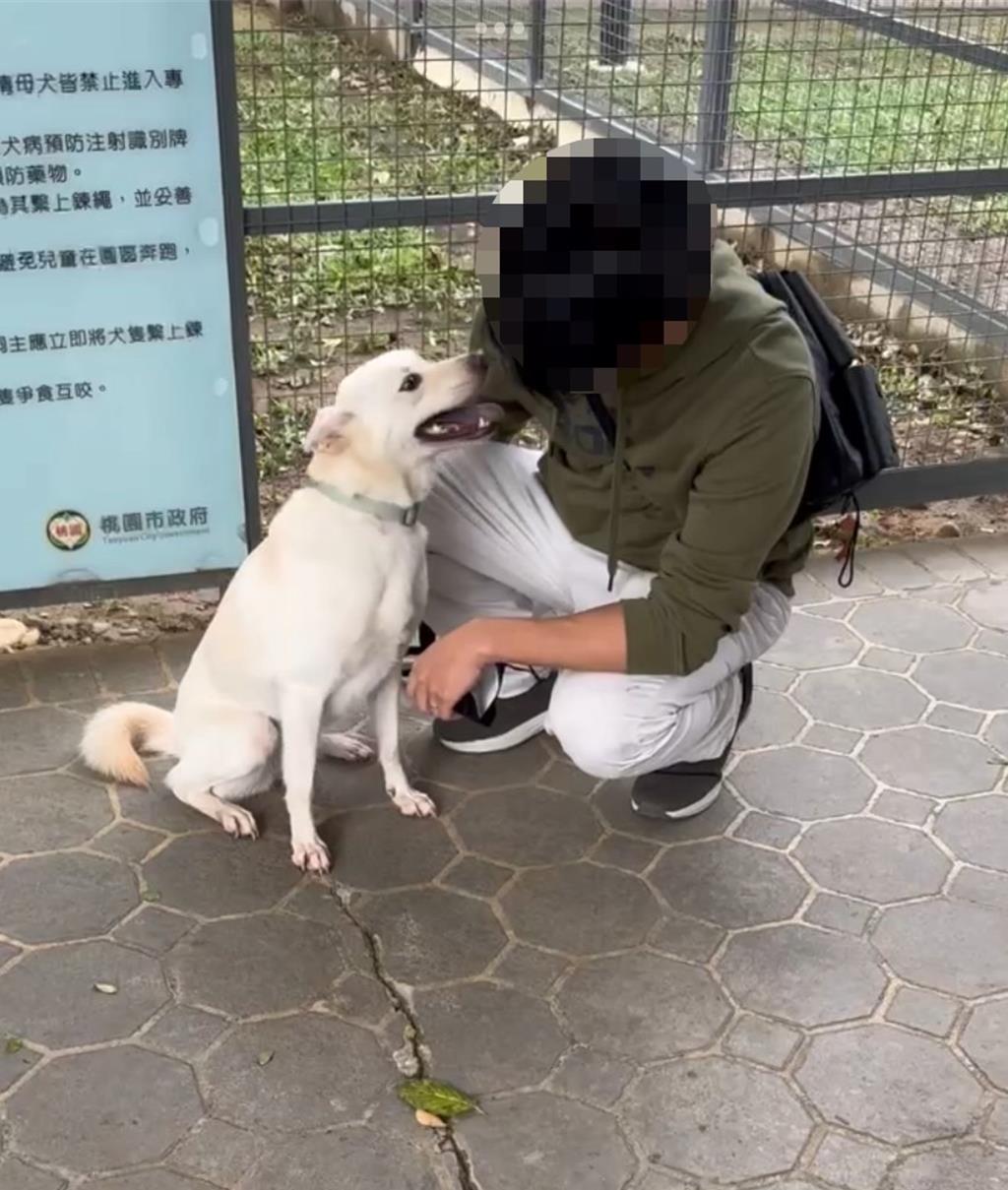 前員工控虐犬！桃園動保處急澄清：犬隻因情緒過激自傷