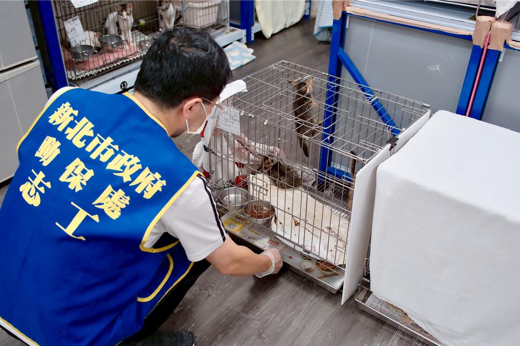 板橋動物之家獲法務部「績優社會勞動機構」 12年攜手地檢署合作