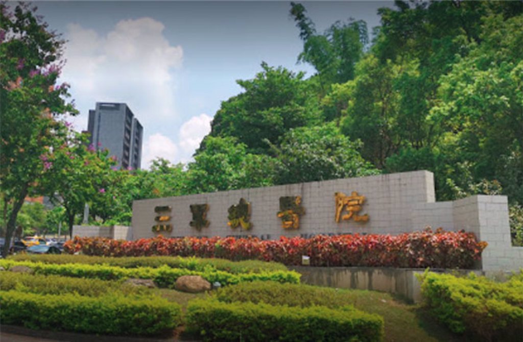 停車場棕櫚樹枯葉砸傷人 三總管理疏失判賠24萬