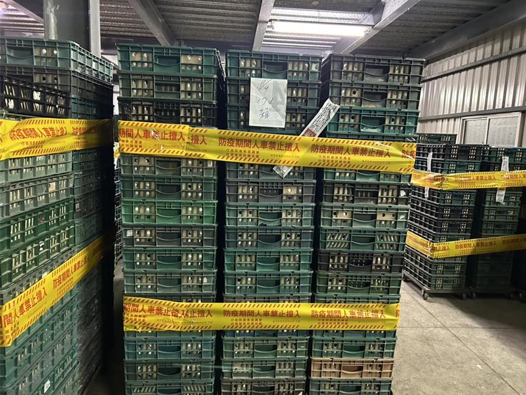 彰化芬普尼蛋流出 蛋行遭搜索負責人20萬交保