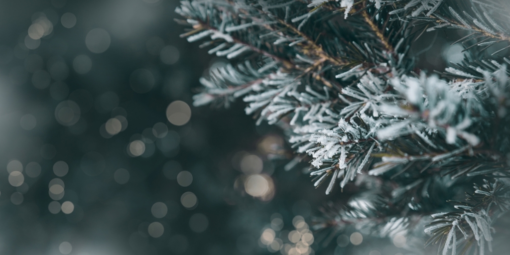 周六「小雪」能量大轉換 專家曝10分鐘開運黃金時段