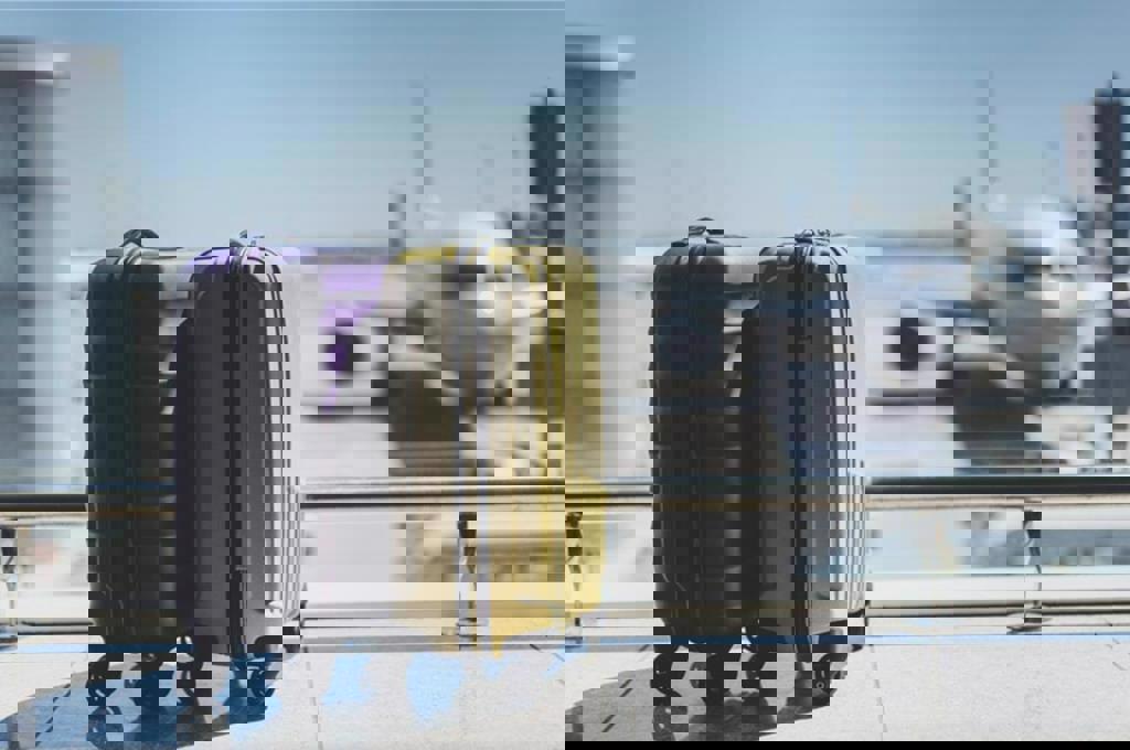 新人福利爽爆！ 公司提前送旅遊金 還沒報到先拿4萬出國嗨