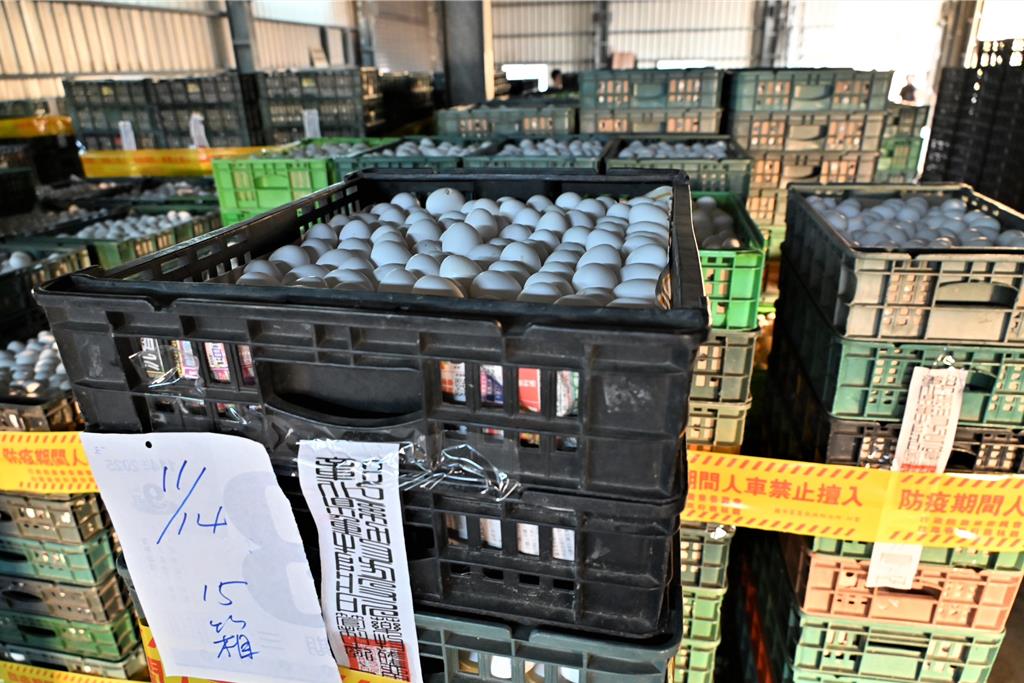 避免文雅畜牧場所產雞蛋流出 封存25.6萬顆蛋漏夜銷毀