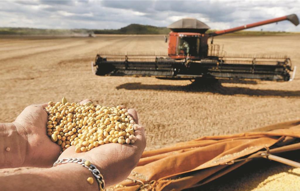 美國豆農鬆口氣？陸擴大採購 大豆期貨飆漲3.2％創新高