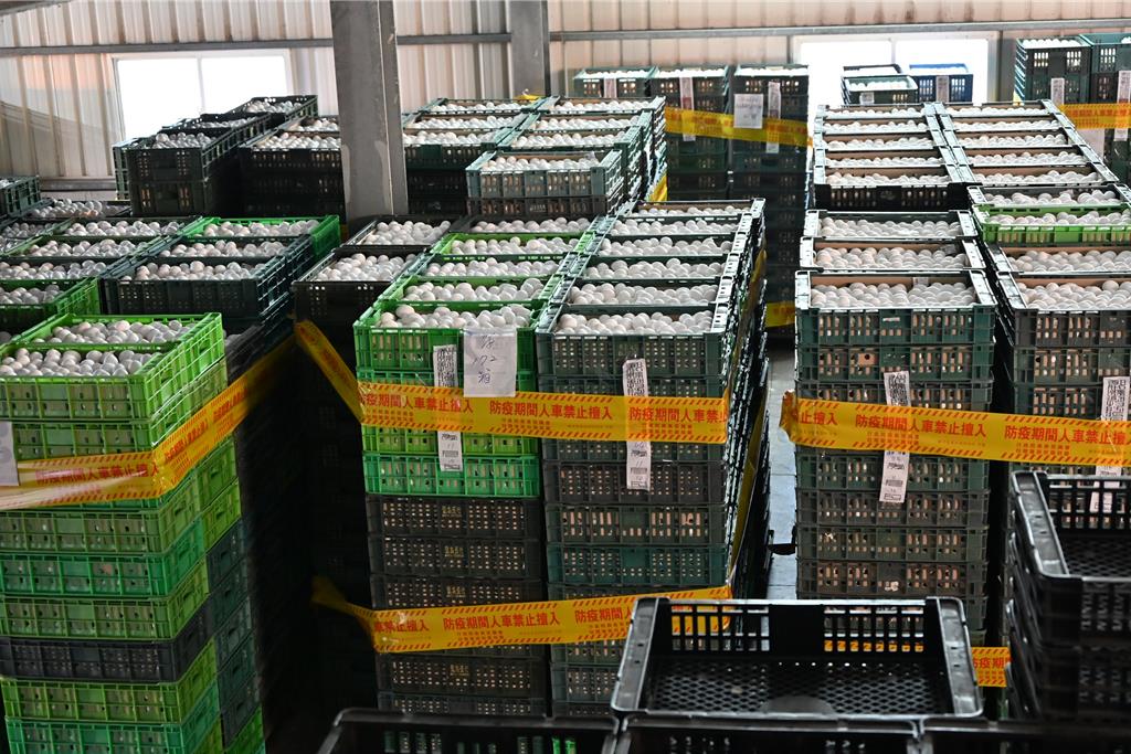 彰化5.7萬顆芬普尼蛋流向曝光 台中、新北都中鏢