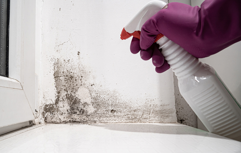 冬天潮濕 牆壁、家具發霉 達人曝4除霉神物秒變乾淨