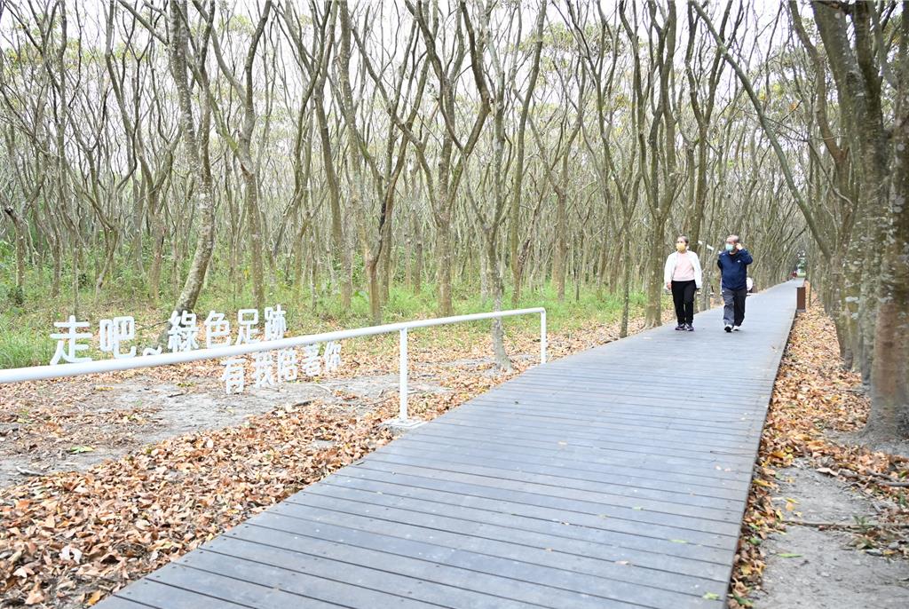 彰化溪州公園木棧道啟用 新增休憩躺網、吊床成亮點