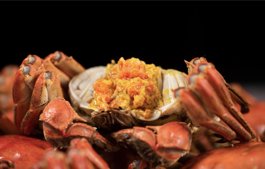 餐桌上肥美大閘蟹怎麼來的？ 42歲單親媽媽開貨車1200公里不敢停