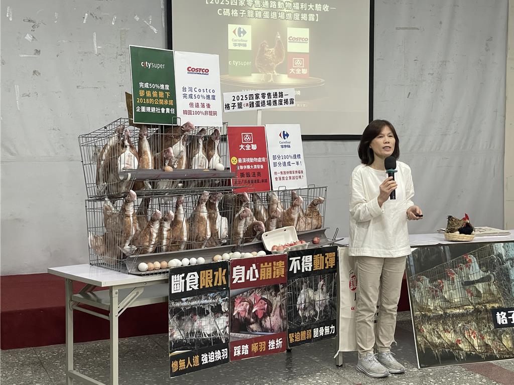 檢視4通路籠飼雞蛋退場進度 動團:速修法「禁新建格子籠」