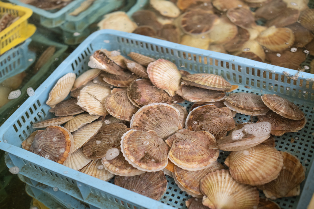 與日為台爭議大動肝火 陸會報復到什麼地步