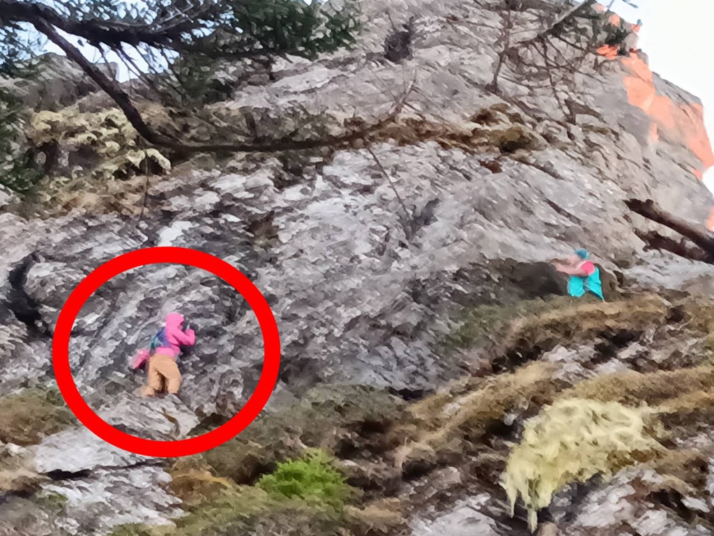 關山女登山客迷途受困陡峭山壁，保育巡查獲報到場協助脫困。（翻攝臉書玉山國家公園）