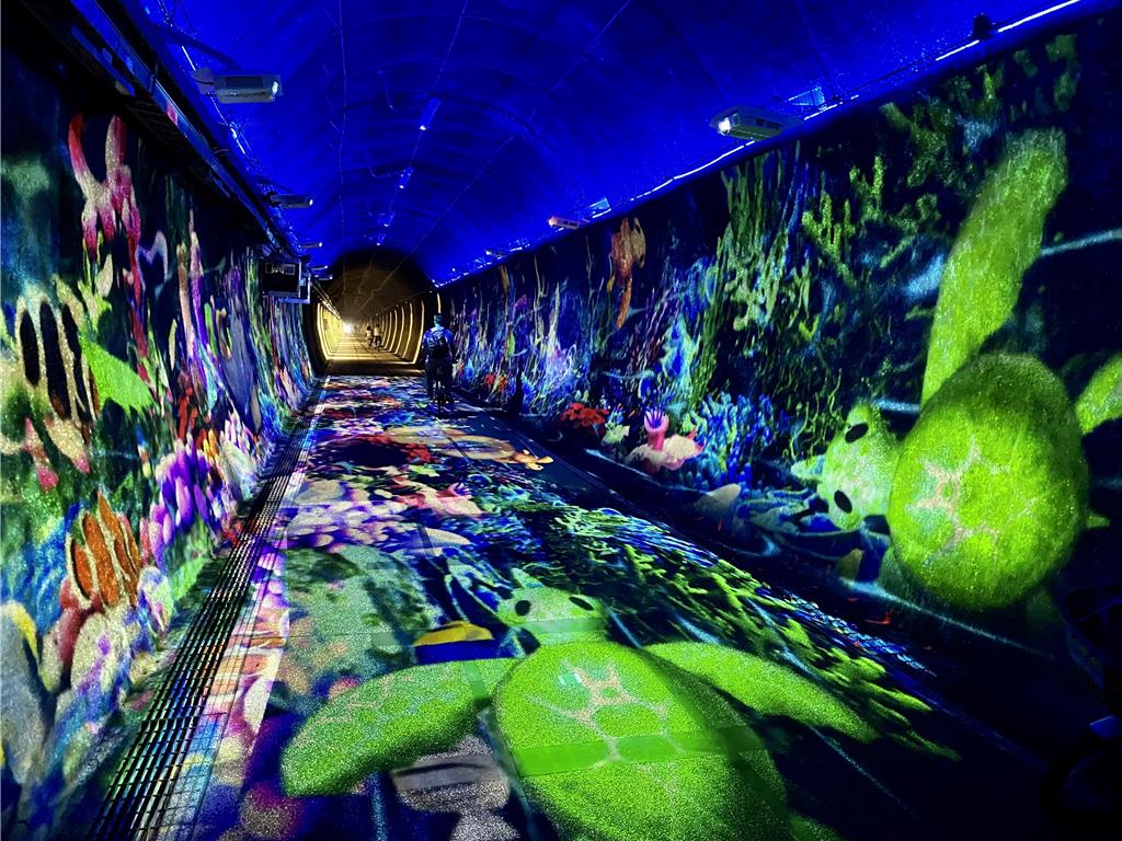 與其國旅不如出國？業者：兩者互補、非二選一