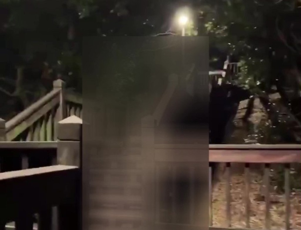 南港公園淪天體營?北市議員促速查 警:發現裸體依法嚴辦