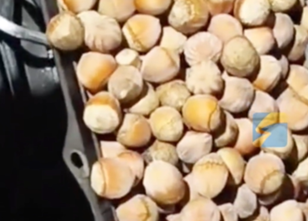 老鼠的冬天結束了!陸男開車聞異響 驚見引擎室變糧倉