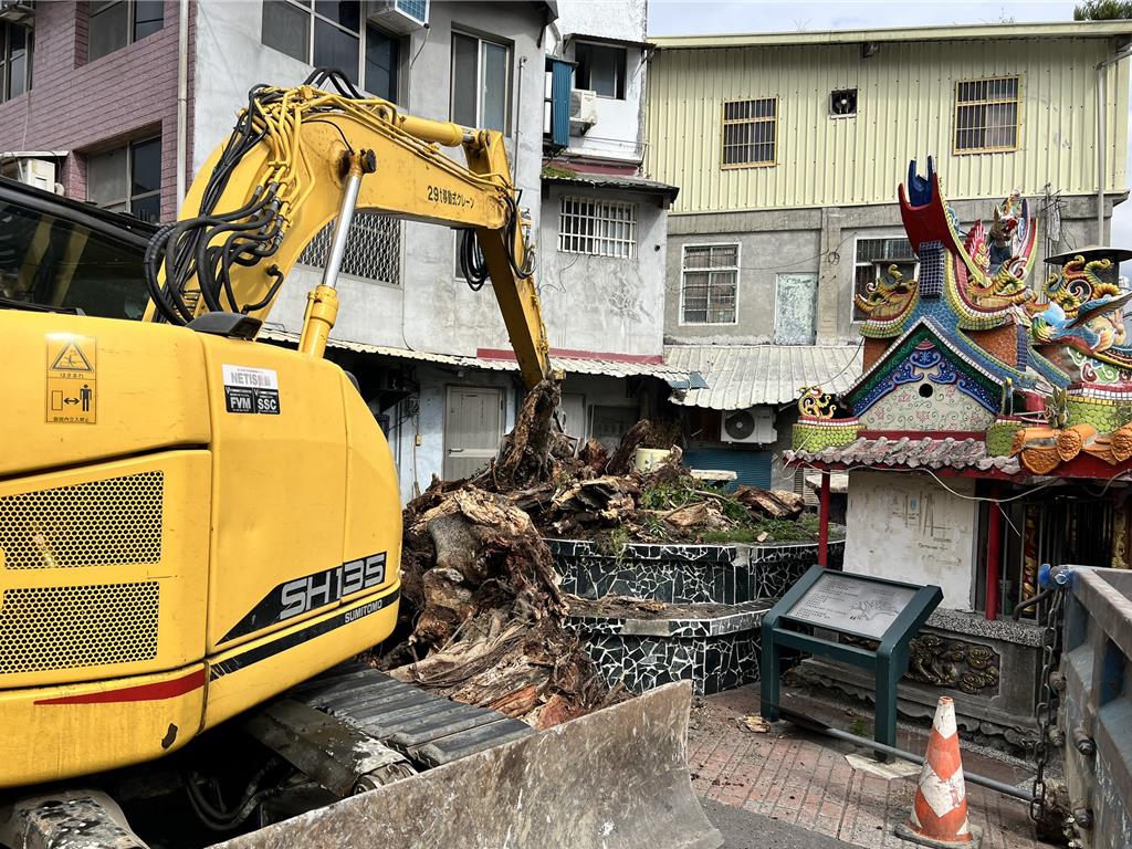 淚別「老守護者」！富里百年老榕樹移除 火車站展出最後身影