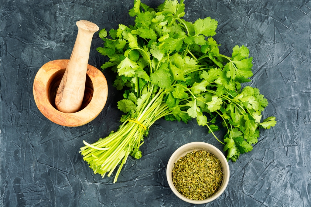 從黑轉粉？新研究揭密「突然愛上香菜」原因　竟然因為老了